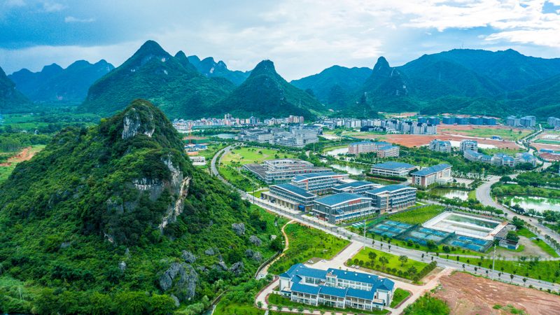 电子模块代工：揭秘其优缺点与选型策略